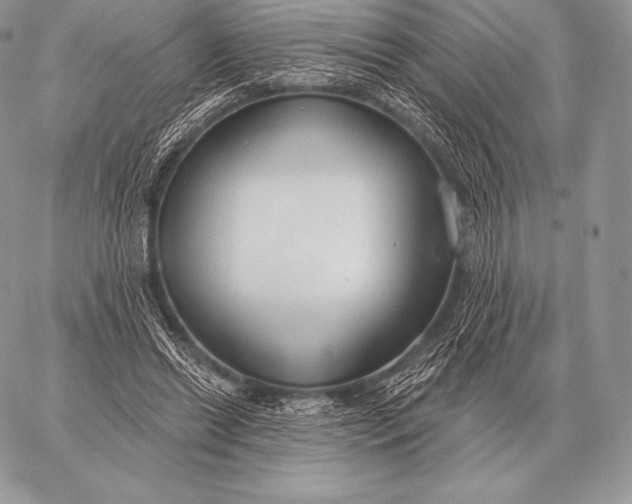 X0000059840446200511111749