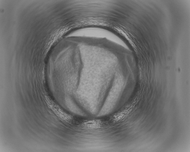 X0000059840447200511111749