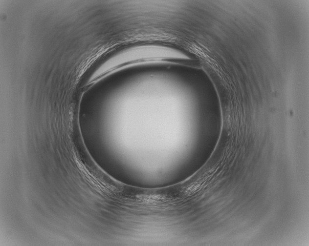 X0000059840448200511111749