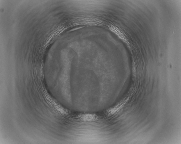 X0000059840449200511111749