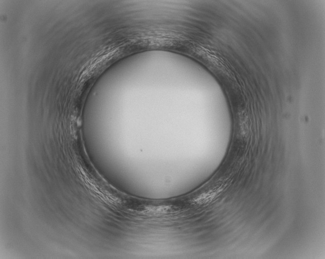 X0000059840450200511111749