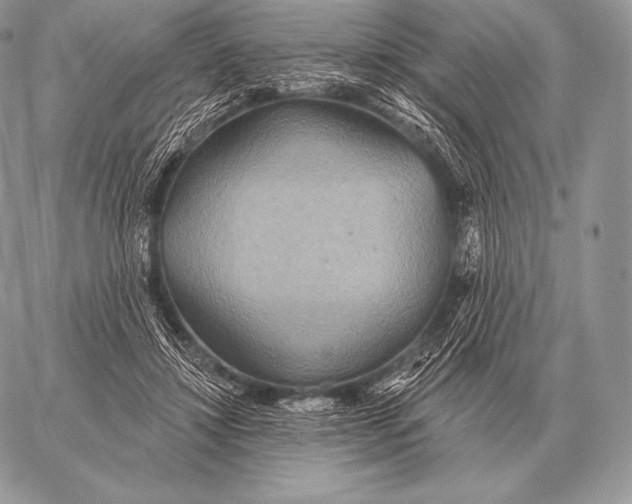 X0000059840452200511111749