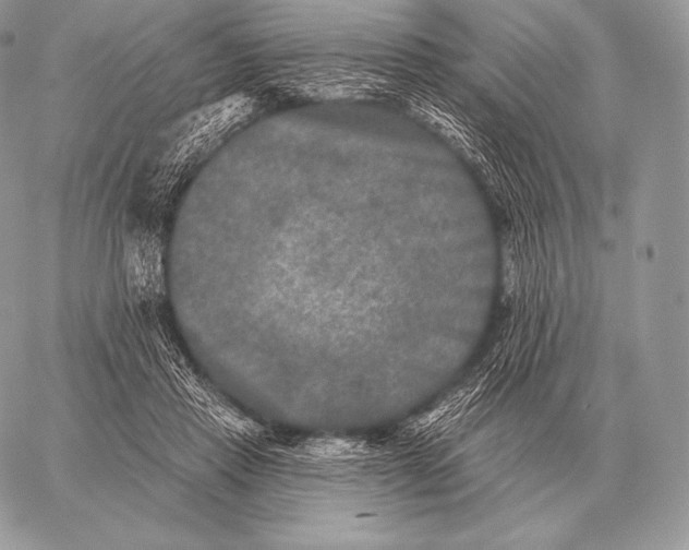 X0000059840453200511111749