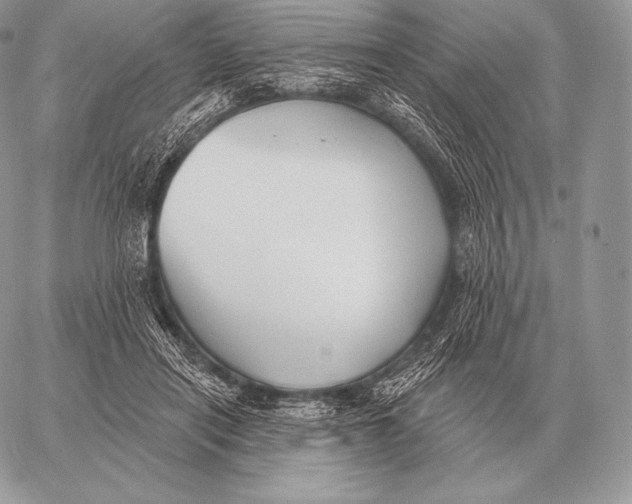 X0000059840454200511111749