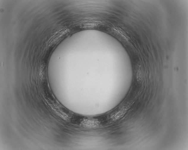 X0000059840455200511111749