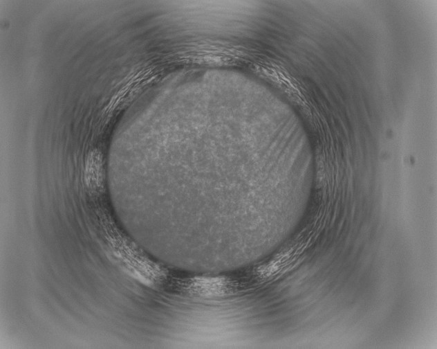 X0000059840457200511111749