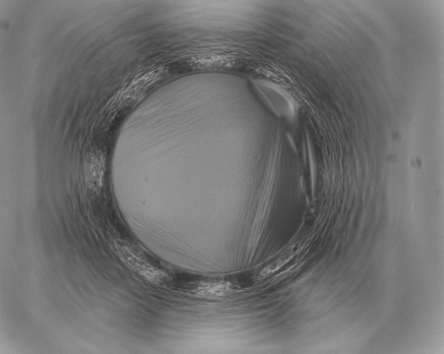 X0000059840458200511111749