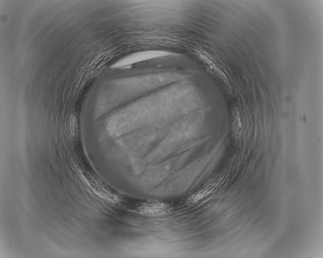 X0000059840459200511111749