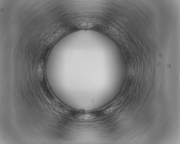 X0000059840460200511111749