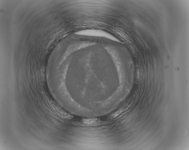 X0000059840461200511111749