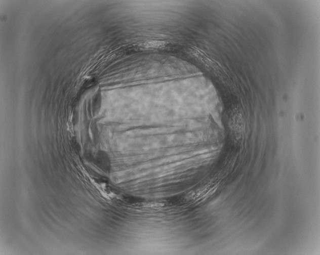 X0000059840462200511111749