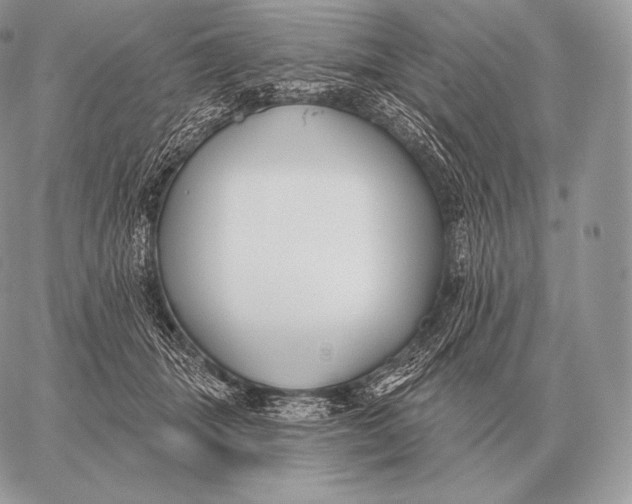 X0000059840463200511111749