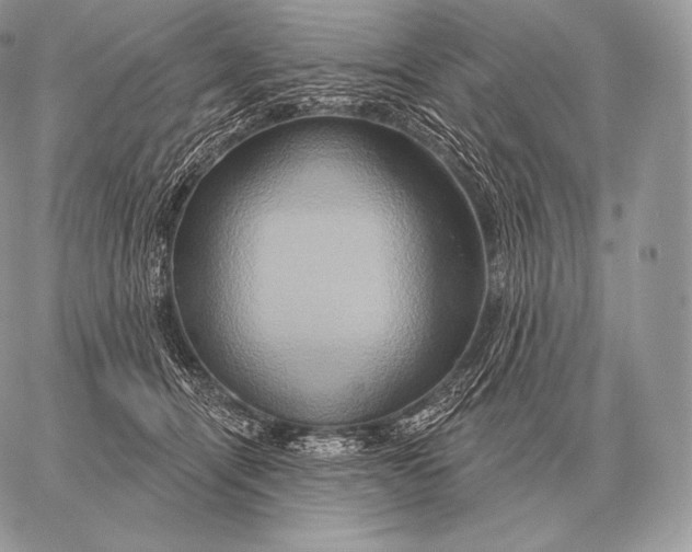 X0000059840464200511111749