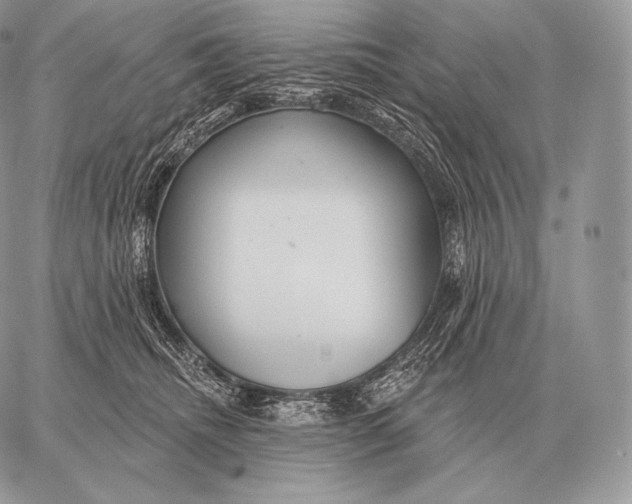 X0000059840468200511111749