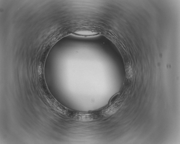 X0000059840472200511111749