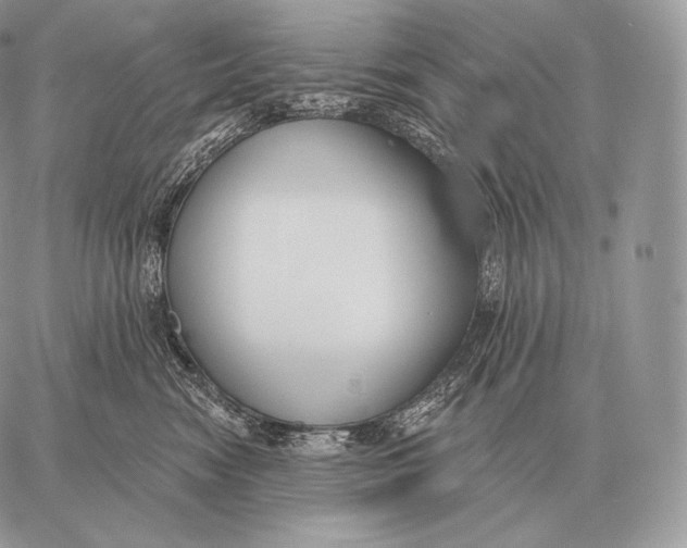 X0000059840474200511111749