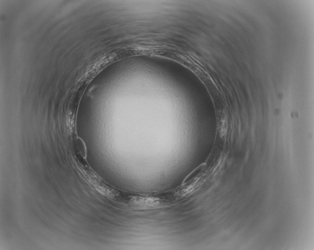 X0000059840476200511111749