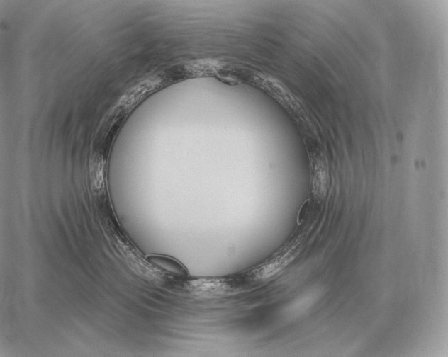 X0000059840477200511111749