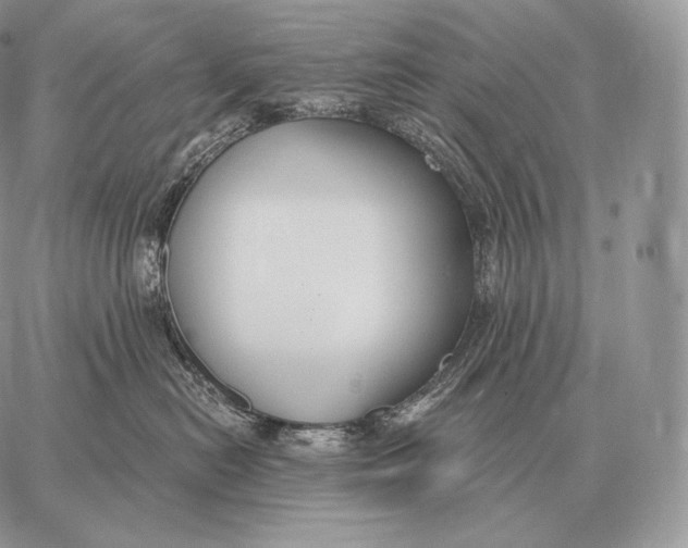 X0000059840478200511111749