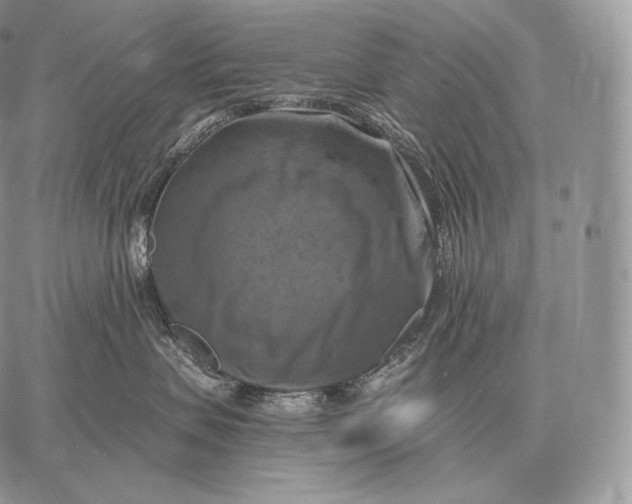 X0000059840479200511111749