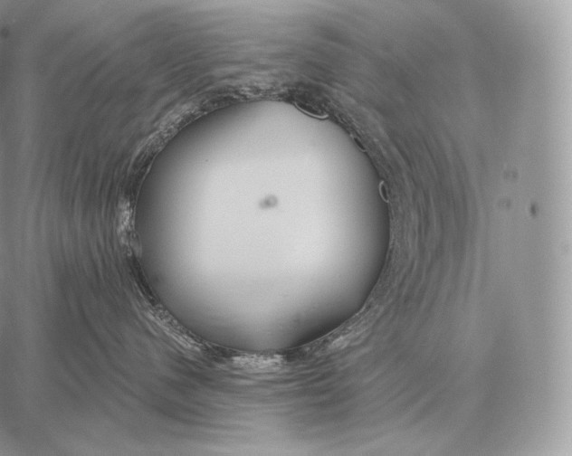 X0000059840480200511111749