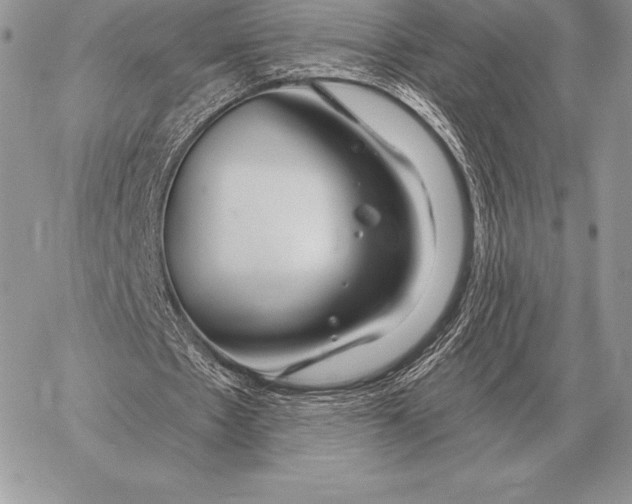 X0000059840481200511111749