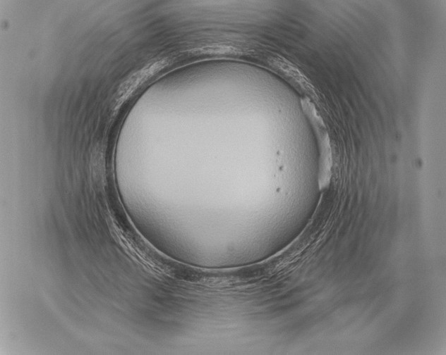 X0000059840482200511111748