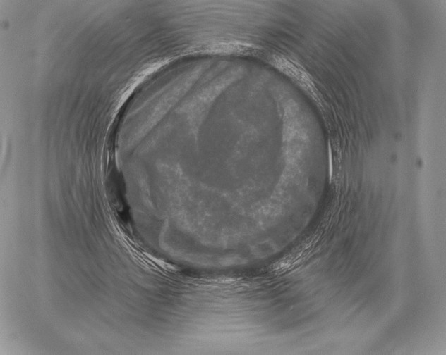 X0000059840483200511111748