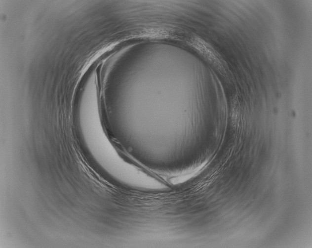 X0000059840484200511111748