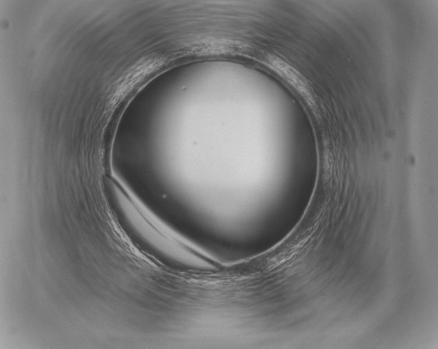 X0000059840485200511111748