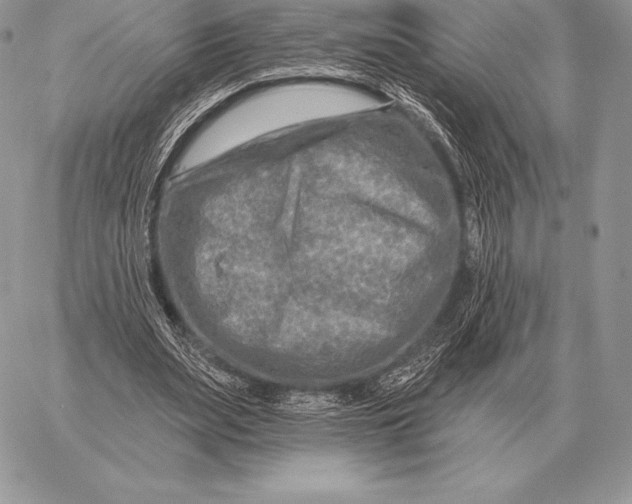 X0000059840487200511111748