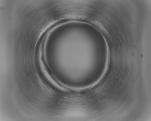 X0000059840488200511111748