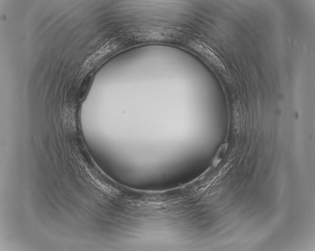 X0000059840489200511111748