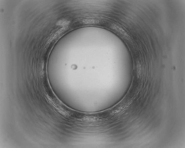 X0000059840490200511111748