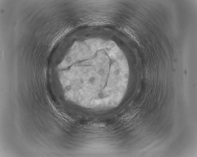 X0000059840491200511111748