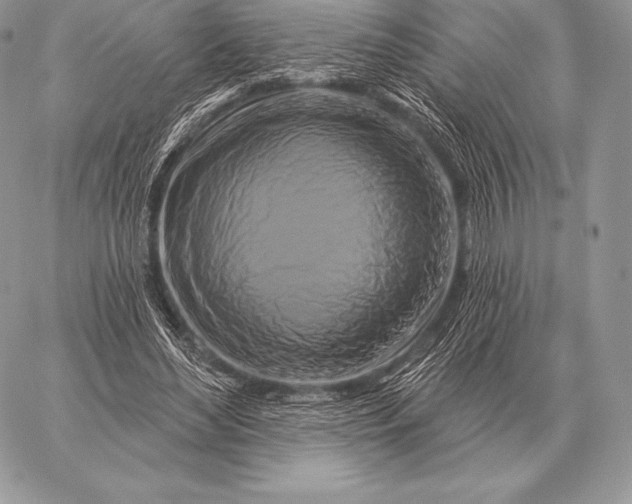 X0000059840492200511111748