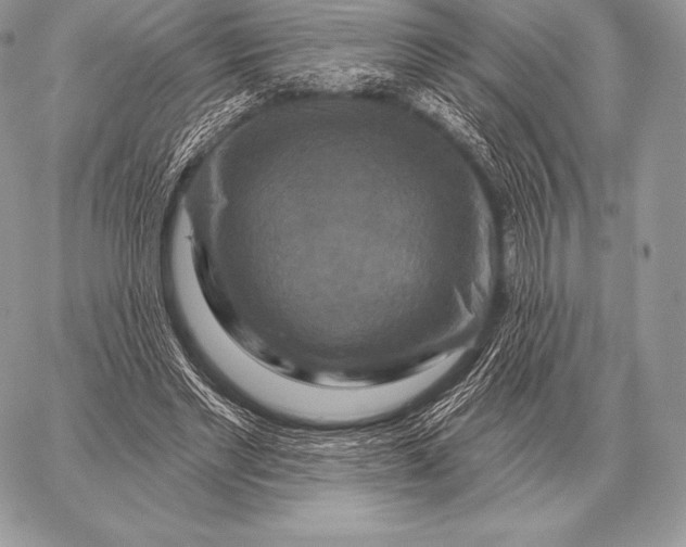 X0000059840493200511111748