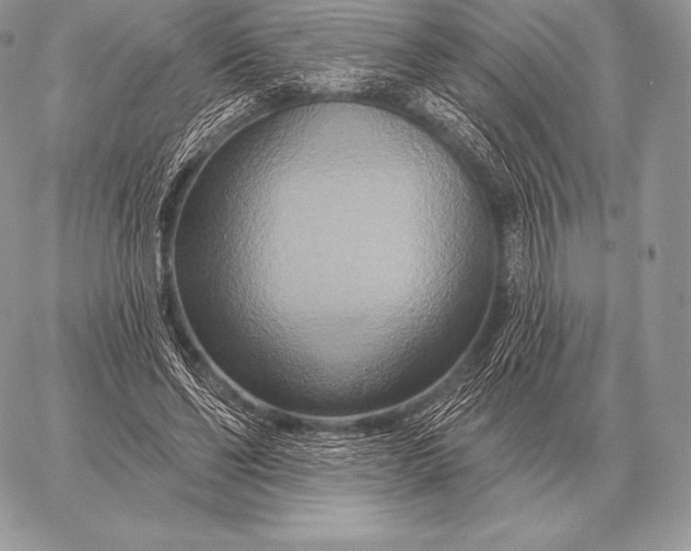 X0000059840494200511111748