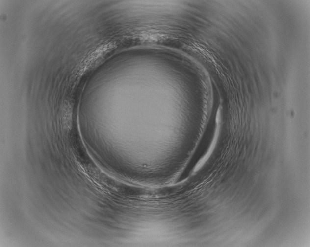 X0000059840496200511111748