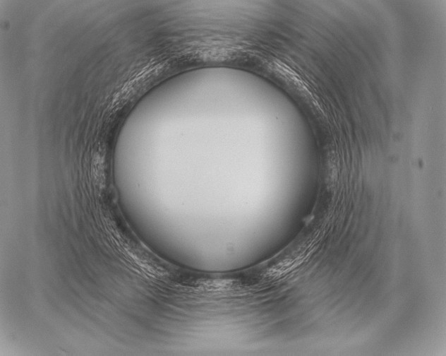 X0000059840497200511111748