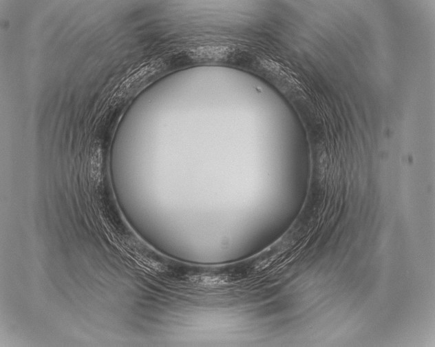 X0000059840498200511111748