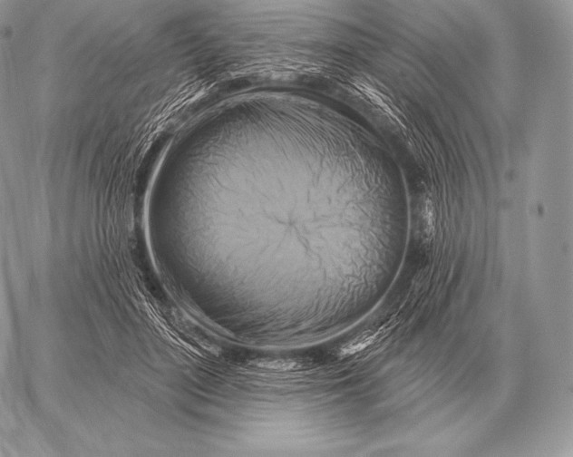 X0000059840500200511111748