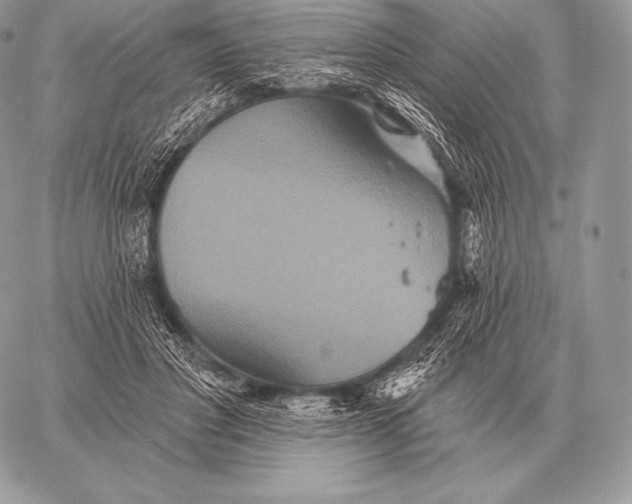 X0000059840501200511111748