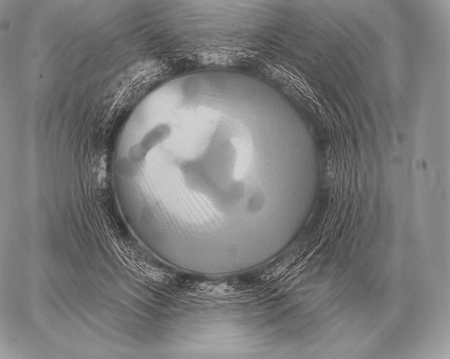 X0000059840502200511111748