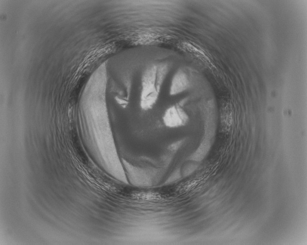 X0000059840503200511111748