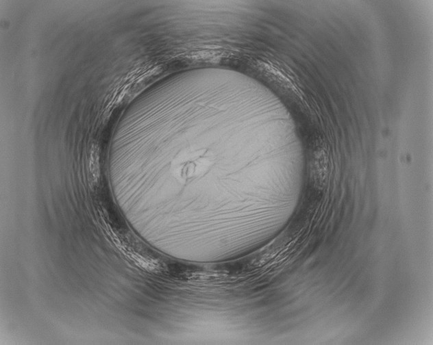 X0000059840504200511111748