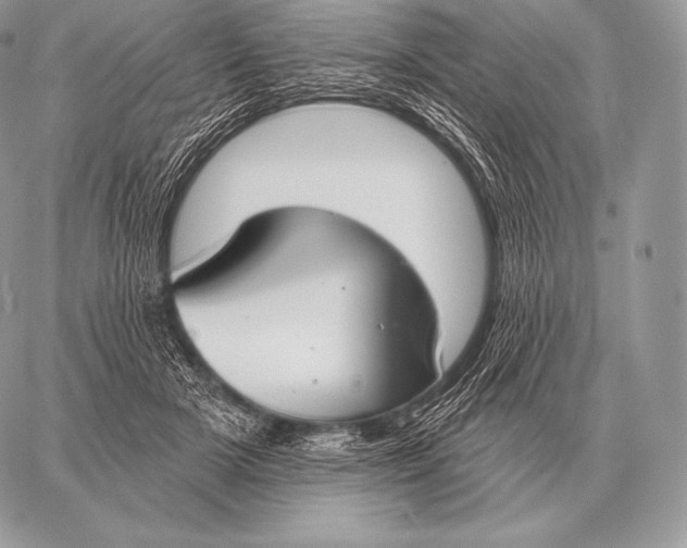 X0000059840505200511111748