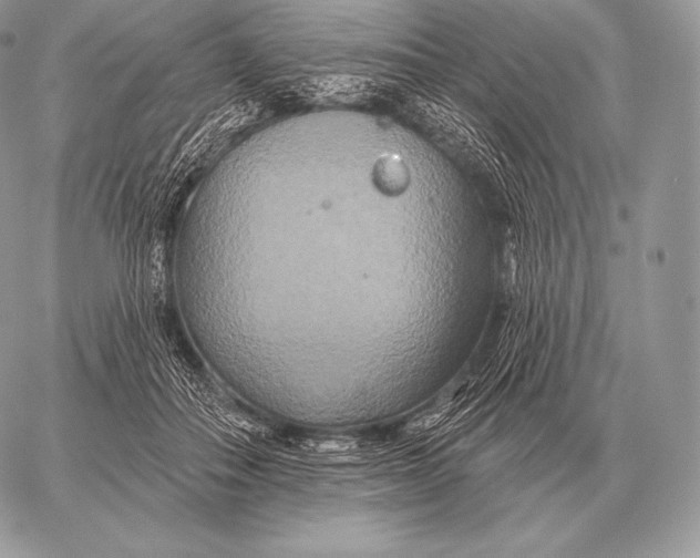 X0000059840506200511111748