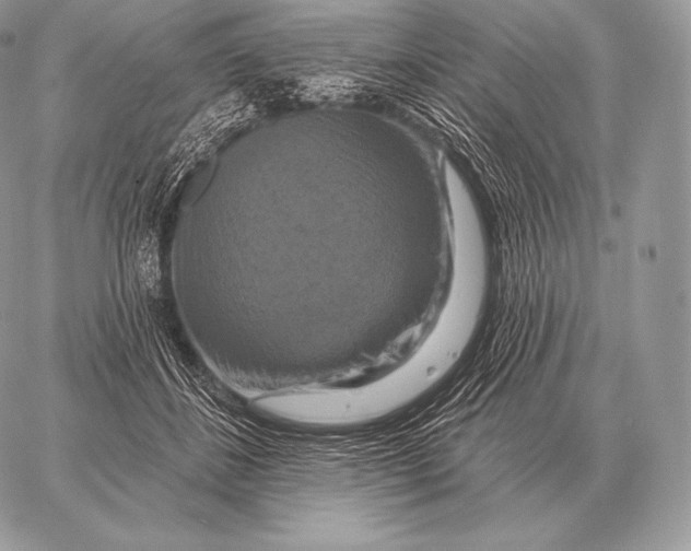 X0000059840508200511111748