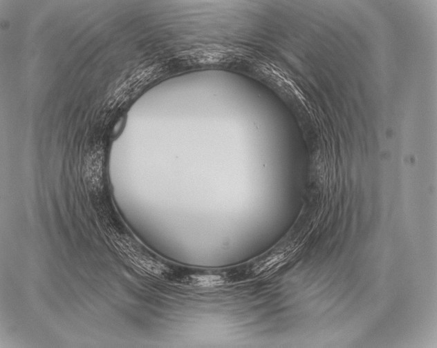 X0000059840509200511111748